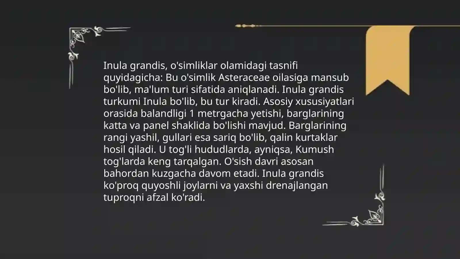 Qora andiz (Inula grandis Screnik) 4