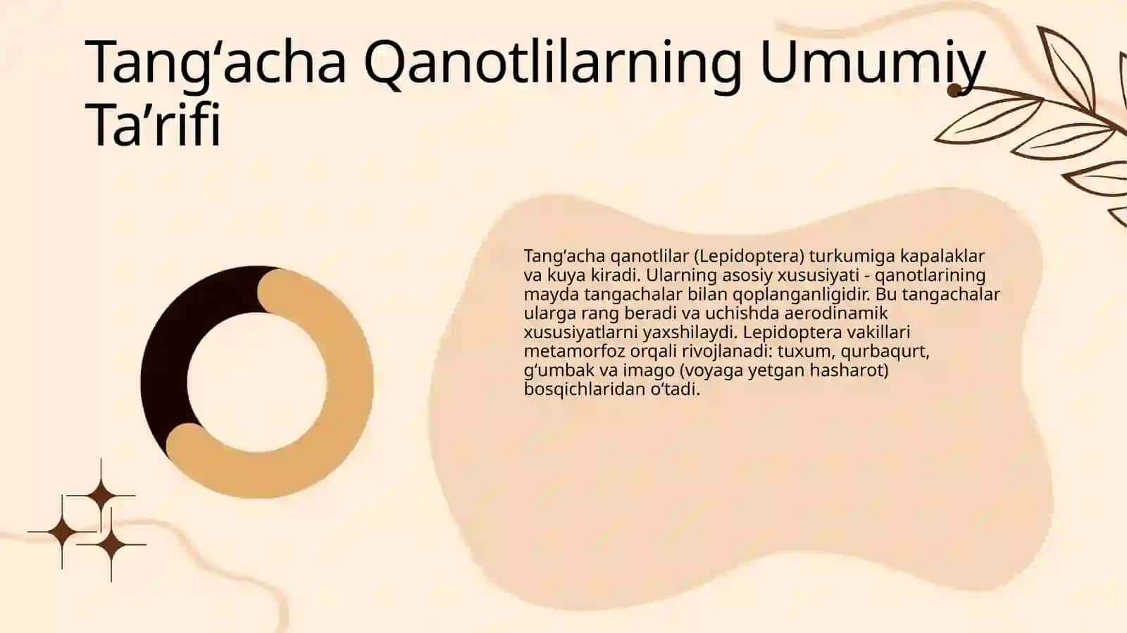 Tangʻacha Qanotlilar 4