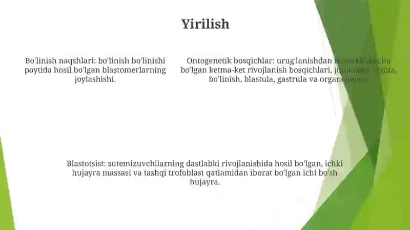 Ontogenez Bosqichlari 4