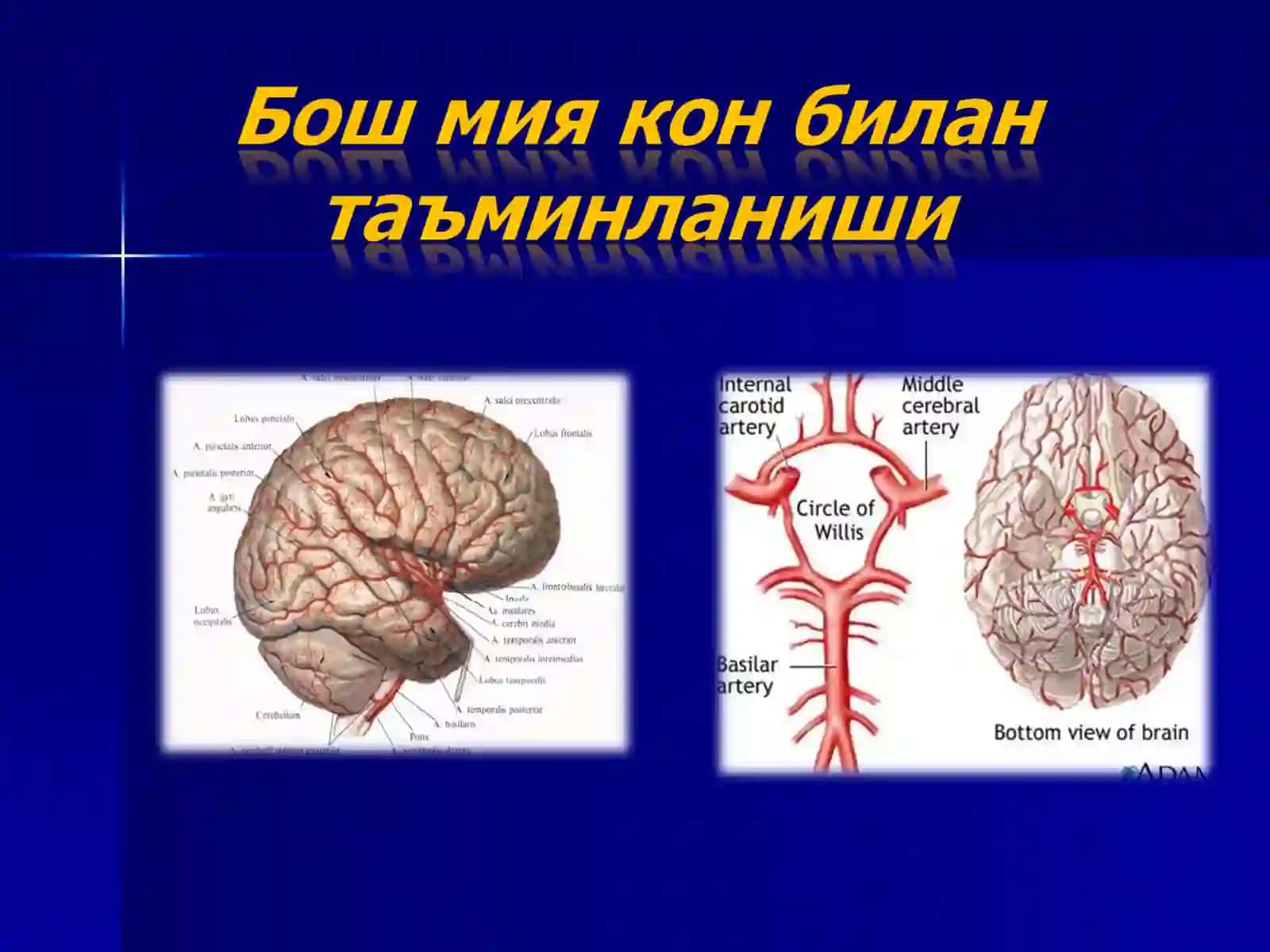 Ўткир бош мияда қон айланишини бузилишлари 4