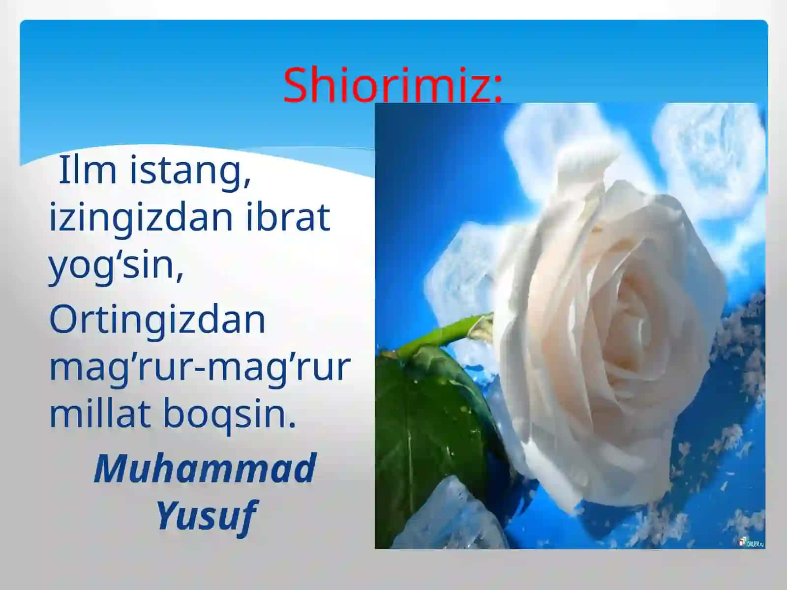 Muhammad Yusuf ijodi bo‘yicha dars ishlanma 4