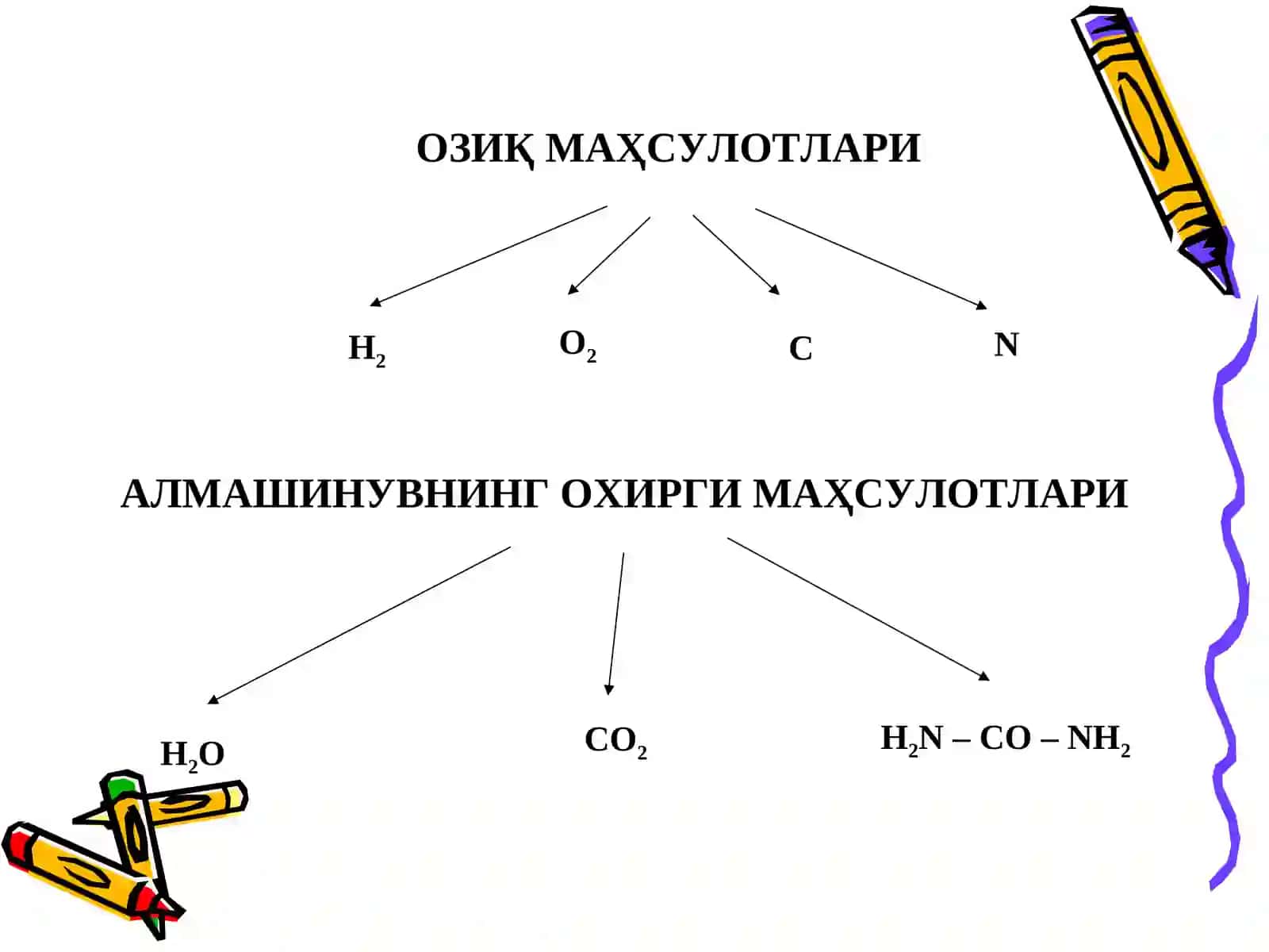 Moddalar almashinuviga kirish, biologik membranalar 4