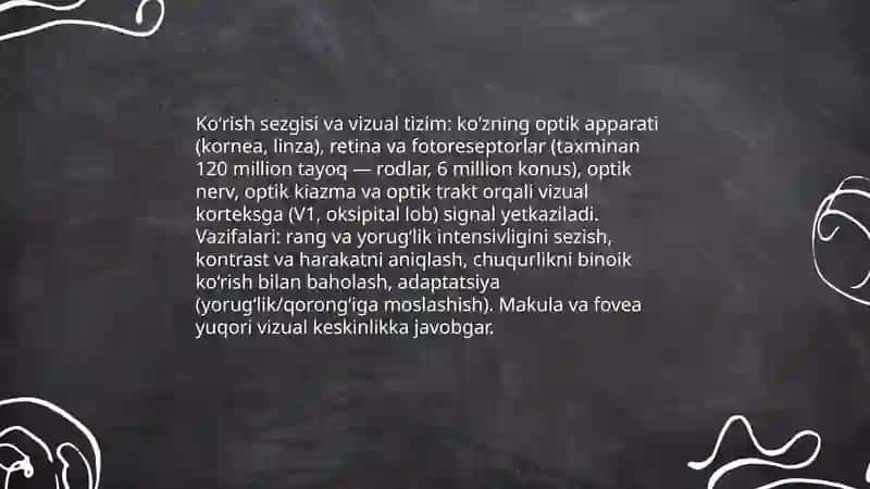 Sezgi va idrok 4