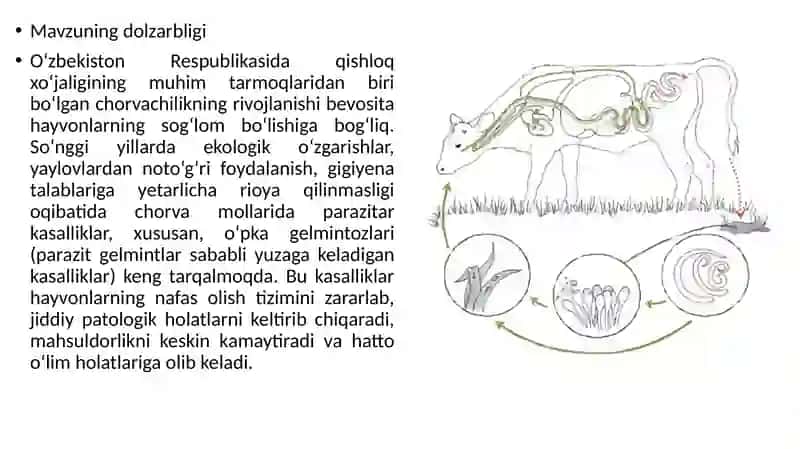 Bajardi: 03/23talabasi 4