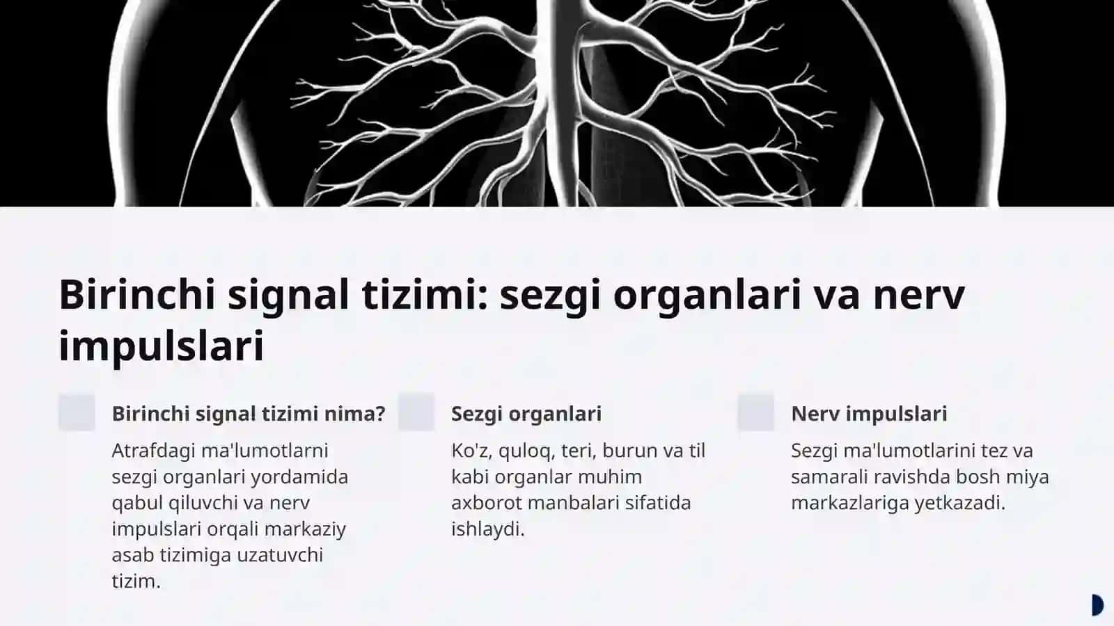 Bosh miya turli bo'limlarini o'rganish 4