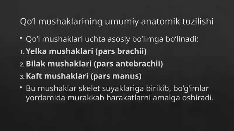 Qo‘l mushaklarining tuzilishi va anatomik nomlari 4