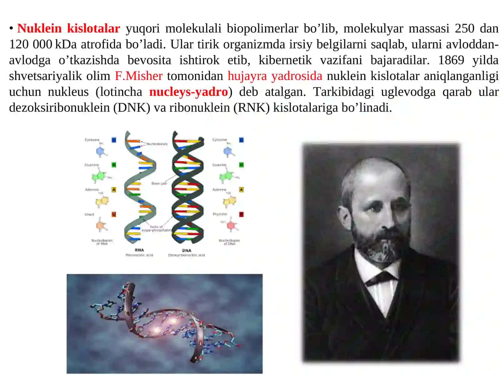 RNK va DNKlarning kimyoviy va tibbiy biologik xossalari 4