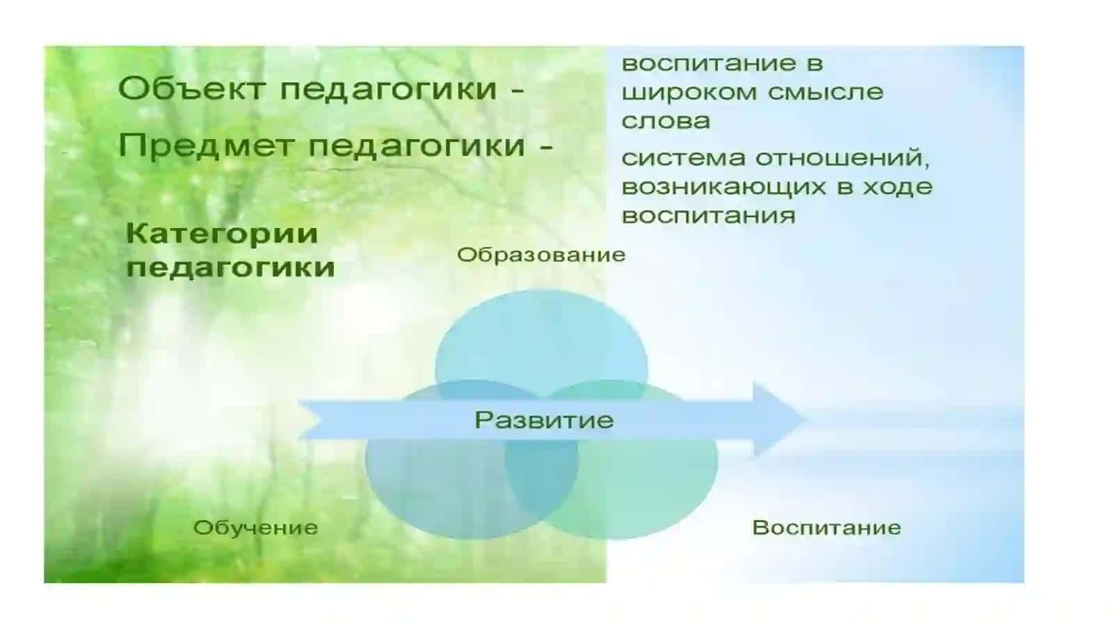 Предмет ва вазифалари педагогика илми 4