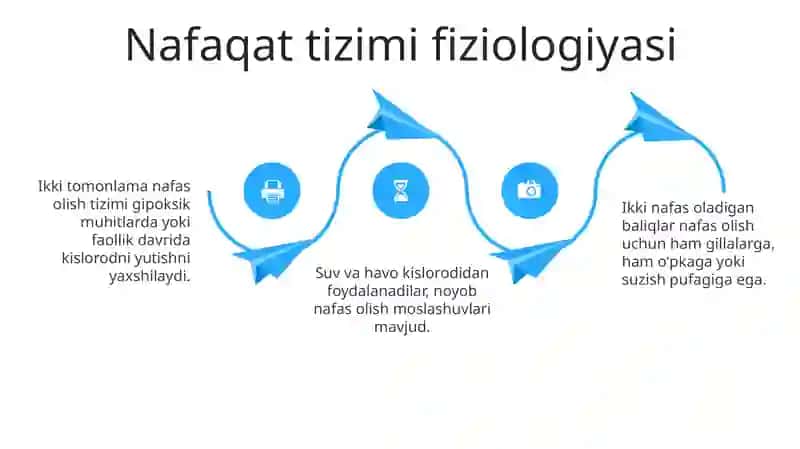 Ikki xil nafas oluvchi baliqlar uchun xos xususiyatlar 4