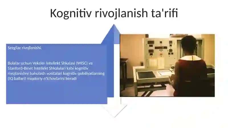 Kognitiv rivojlanishga ta'sir etuvchi omillar 4
