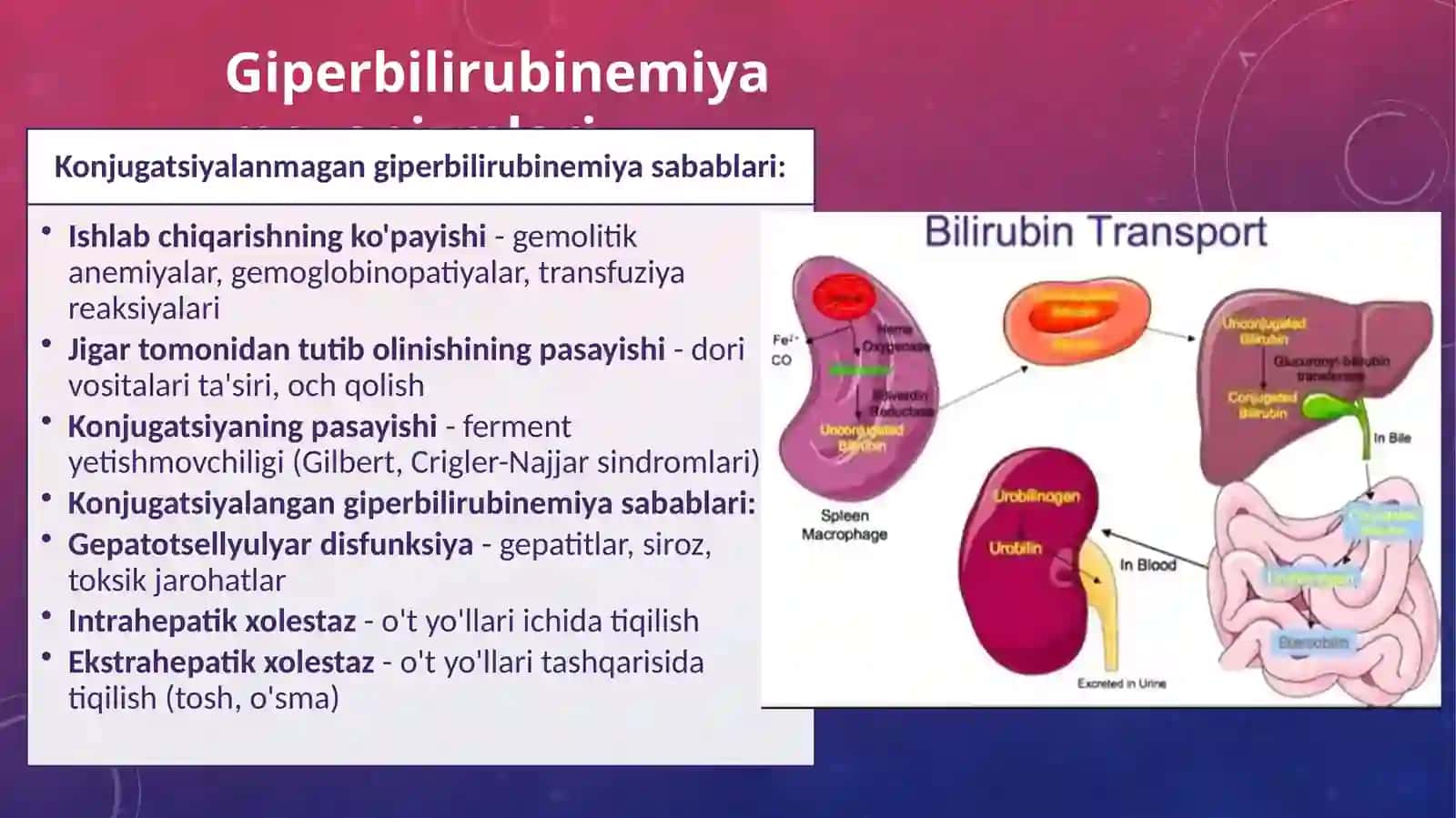 Giperbilirubinemiya va Sariqlik Turlari 4
