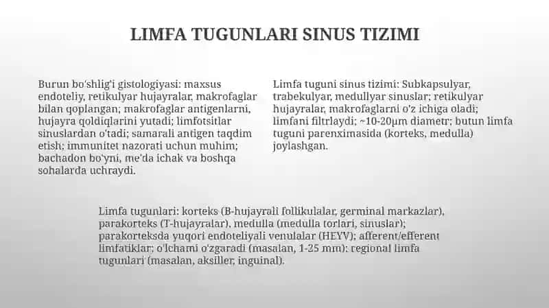 Limfa limfa tugunlari gistomorfologiyasi 4