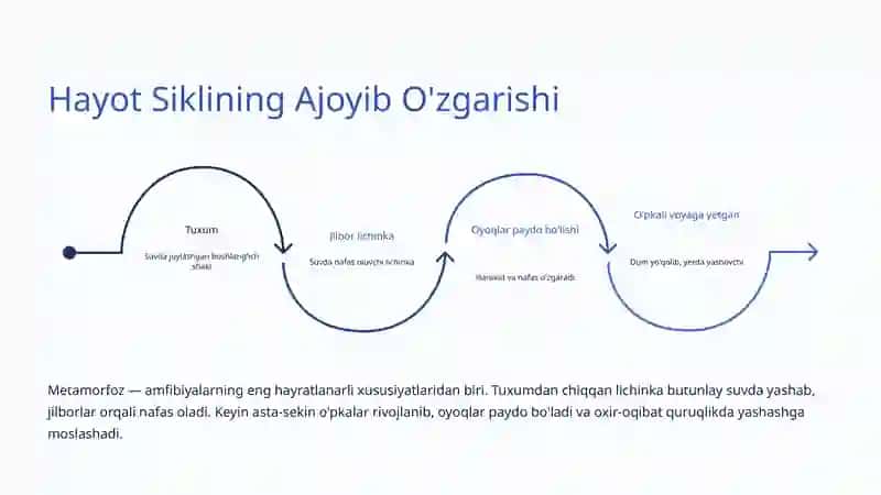 Amfibiyalar: Suv va Quruqlik Orasidagi Hayot 4