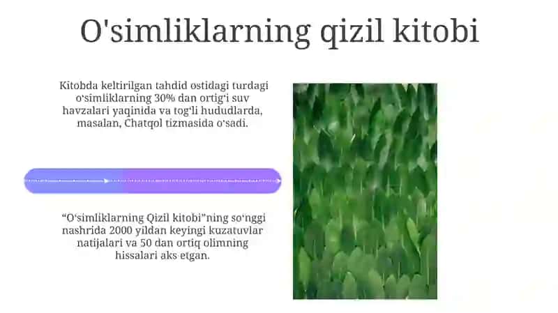 O‘zbekiston o'simliklar xilma xiligi 4