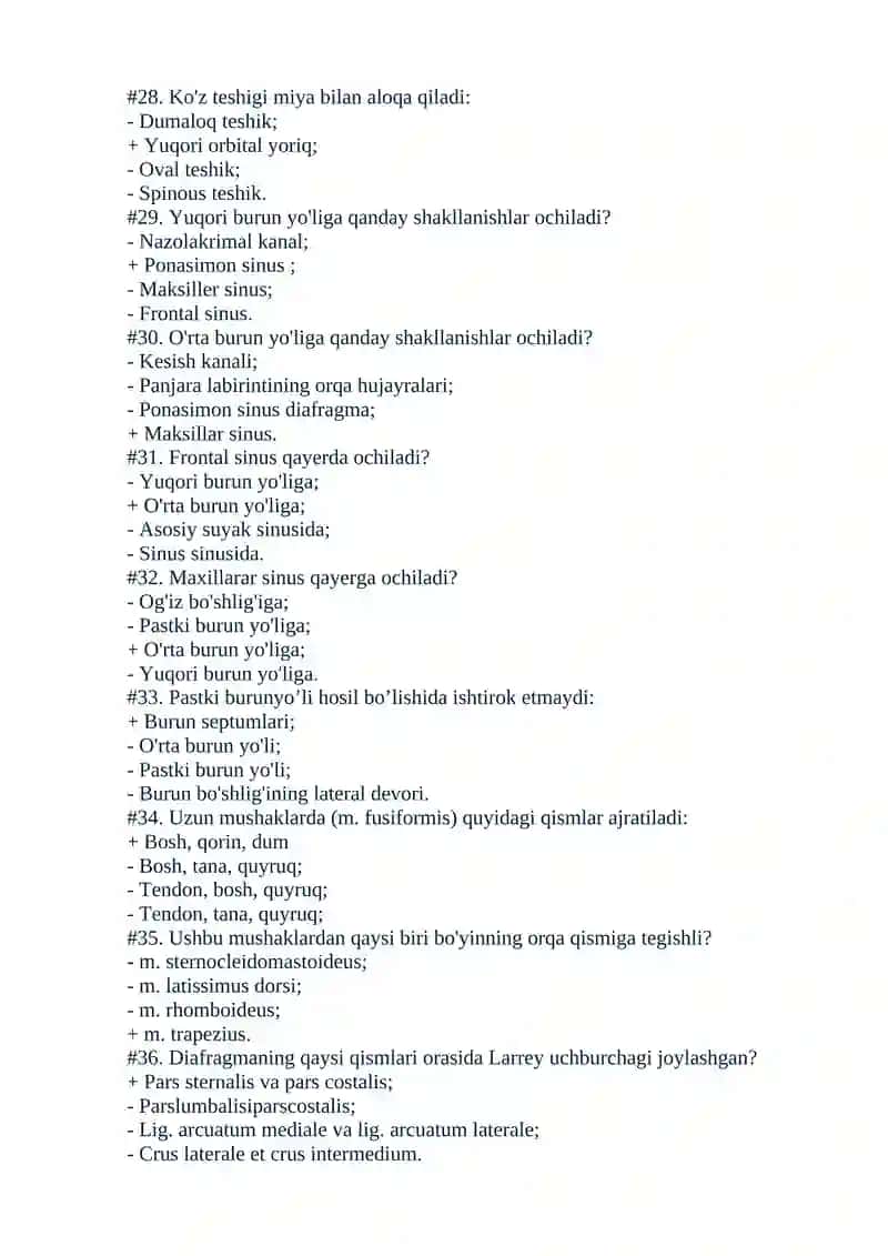 Plastik anatomiya 4