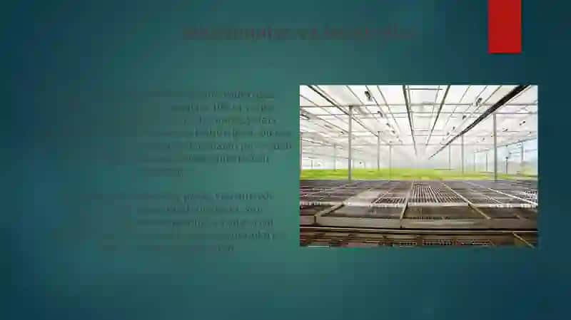 Agrosanoatmajmuasining tashkiliy tuzilmasi 4