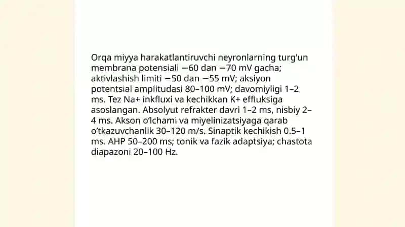 Bosh miya yarim sharlari poʻstlogʻining morfogenezi 4