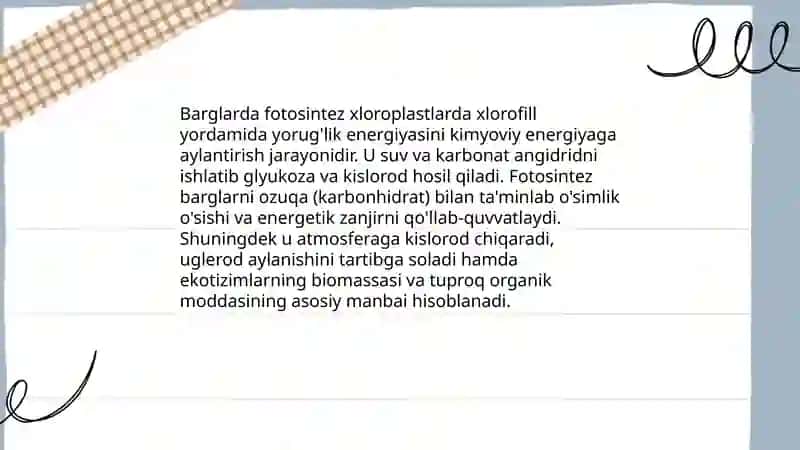 Barg va uning vazifalari 4