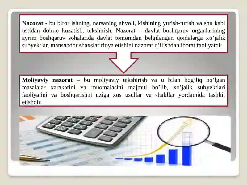 Moliyaviy Nazoratning Mazmuni 4