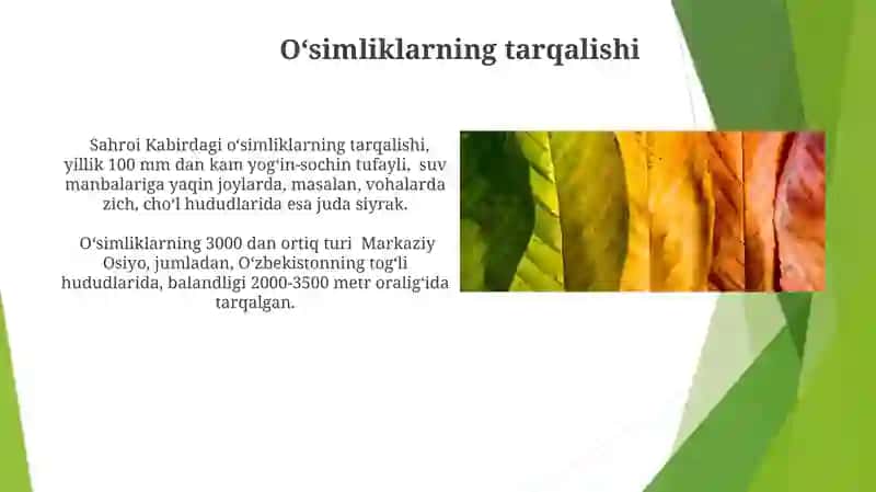 Oʻsimliklarda davrlar va mavsumiy hodisalar 4