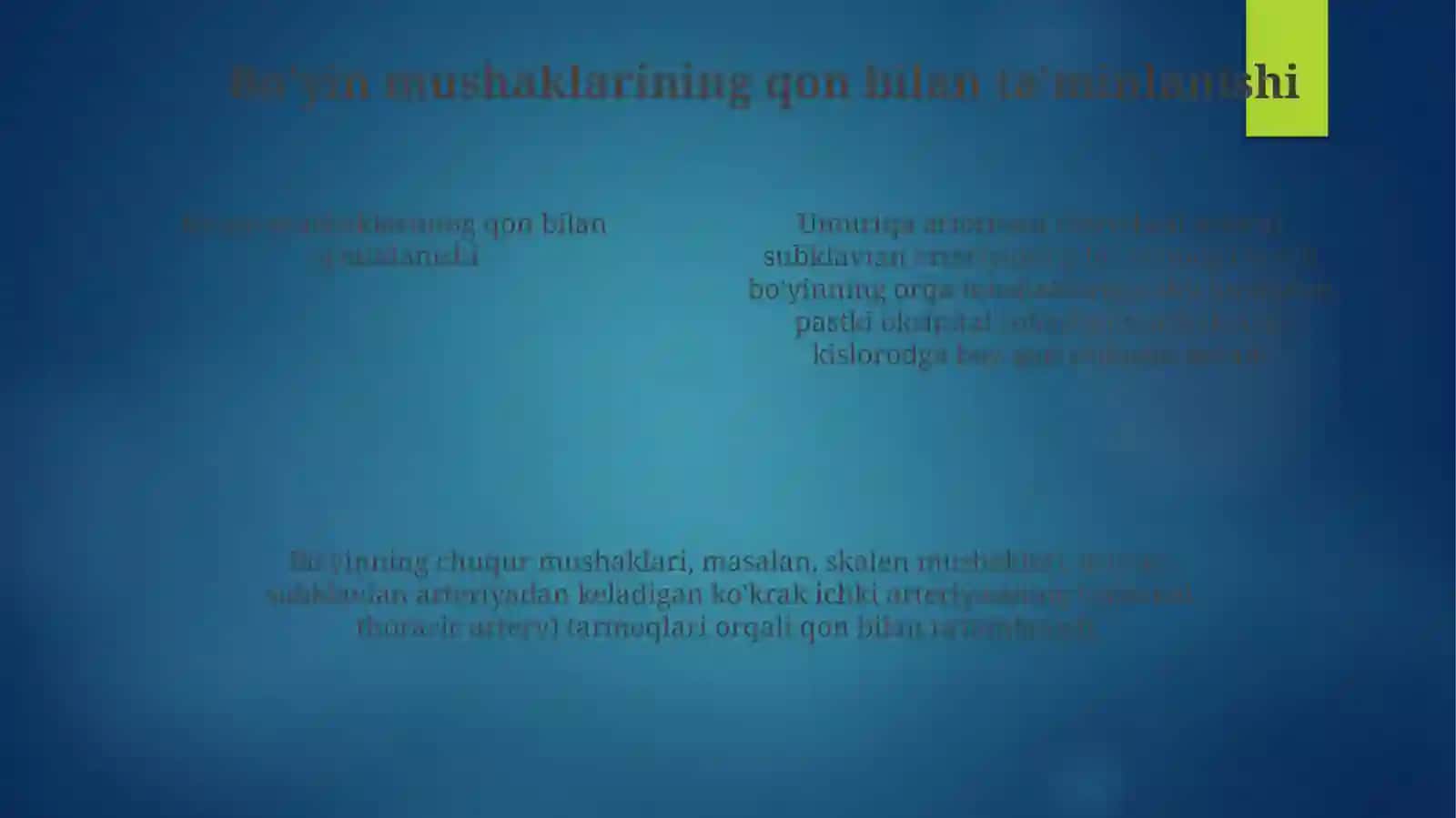 Bo'yin mushaklari anatomiyasiga kirish 4
