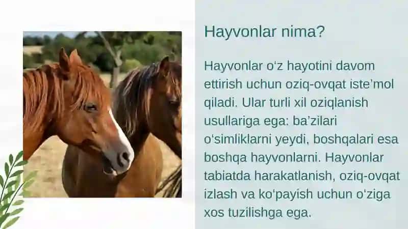 Oʻsimlik va hayvonlarning oʻzaro bogʻliqligi 4