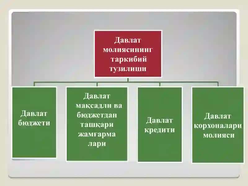 ДАВЛАТ БЮДЖЕТИНИНГ МОҲИЯТИ ВА АҲАМИЯТИ 4