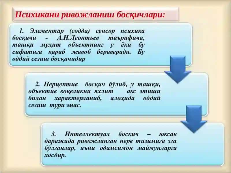 Психика ва онгнинг тараққиёти 4