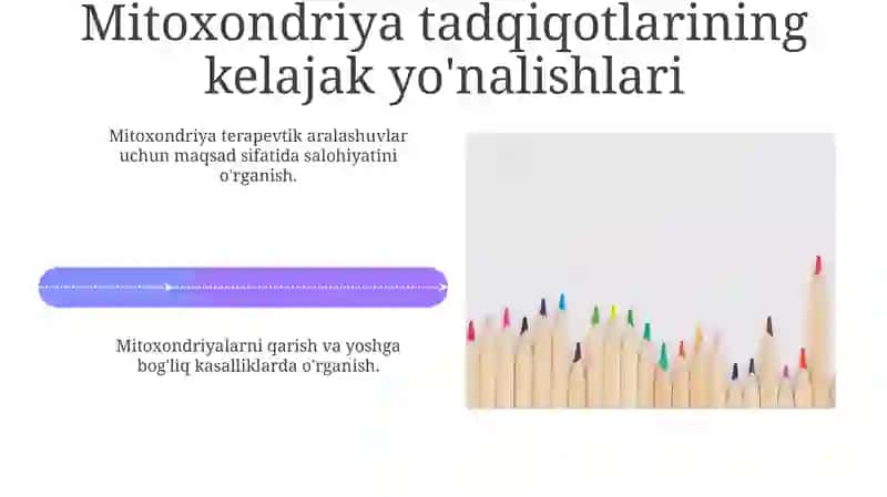 Mitoxondriya 4