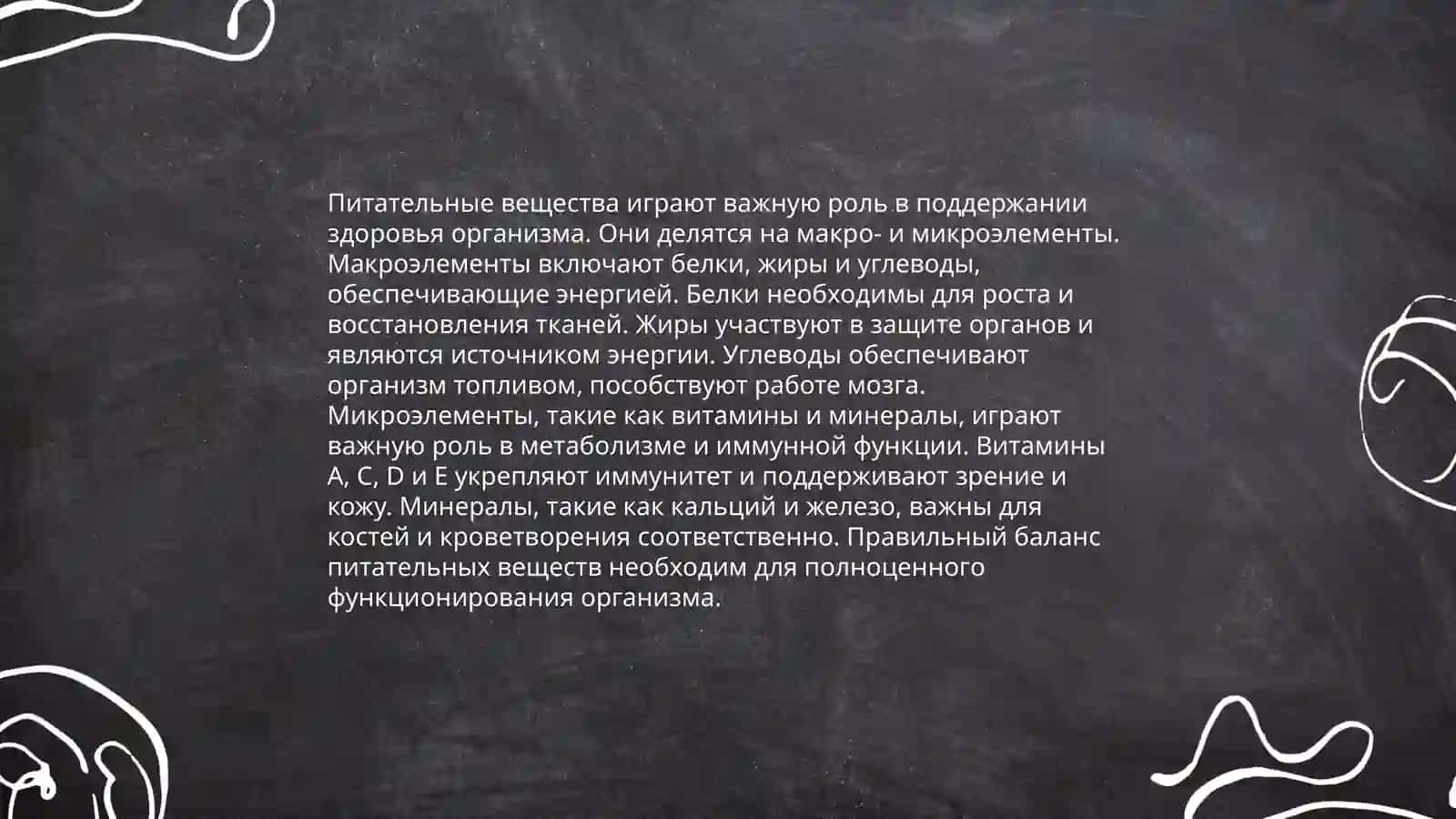 Основы рационального питания 4