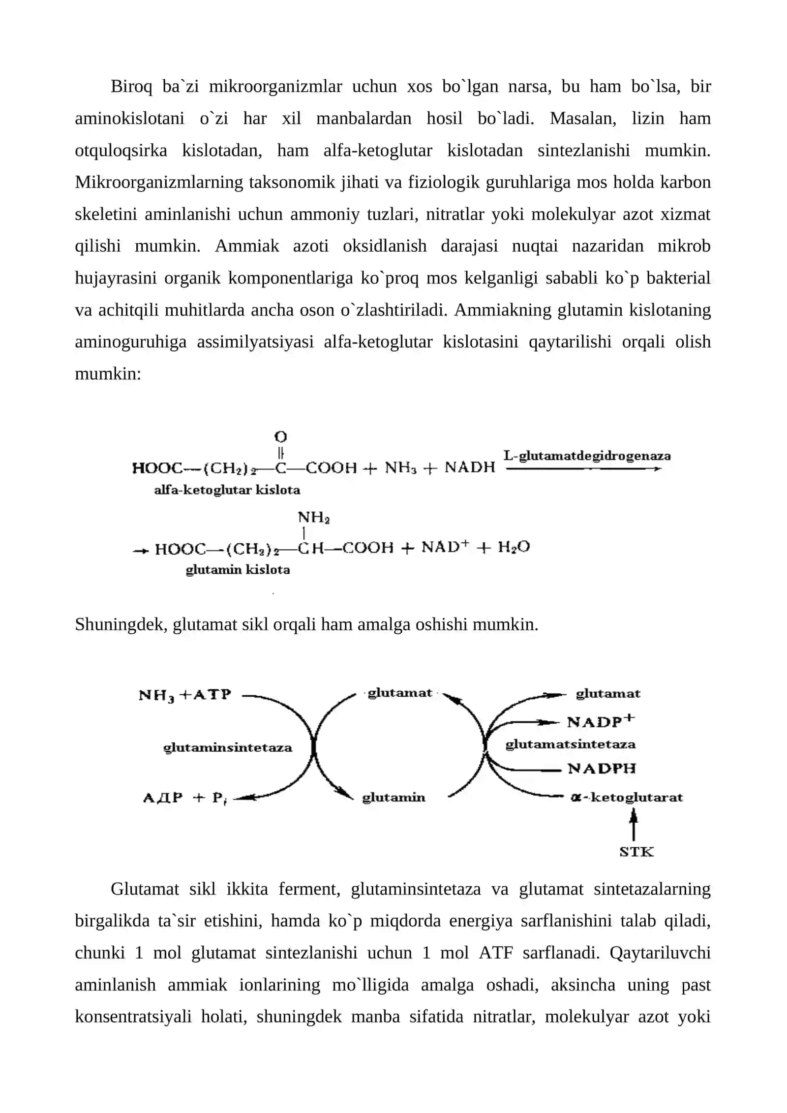 Aminokislotalar biosintezi texnologiyasi 4