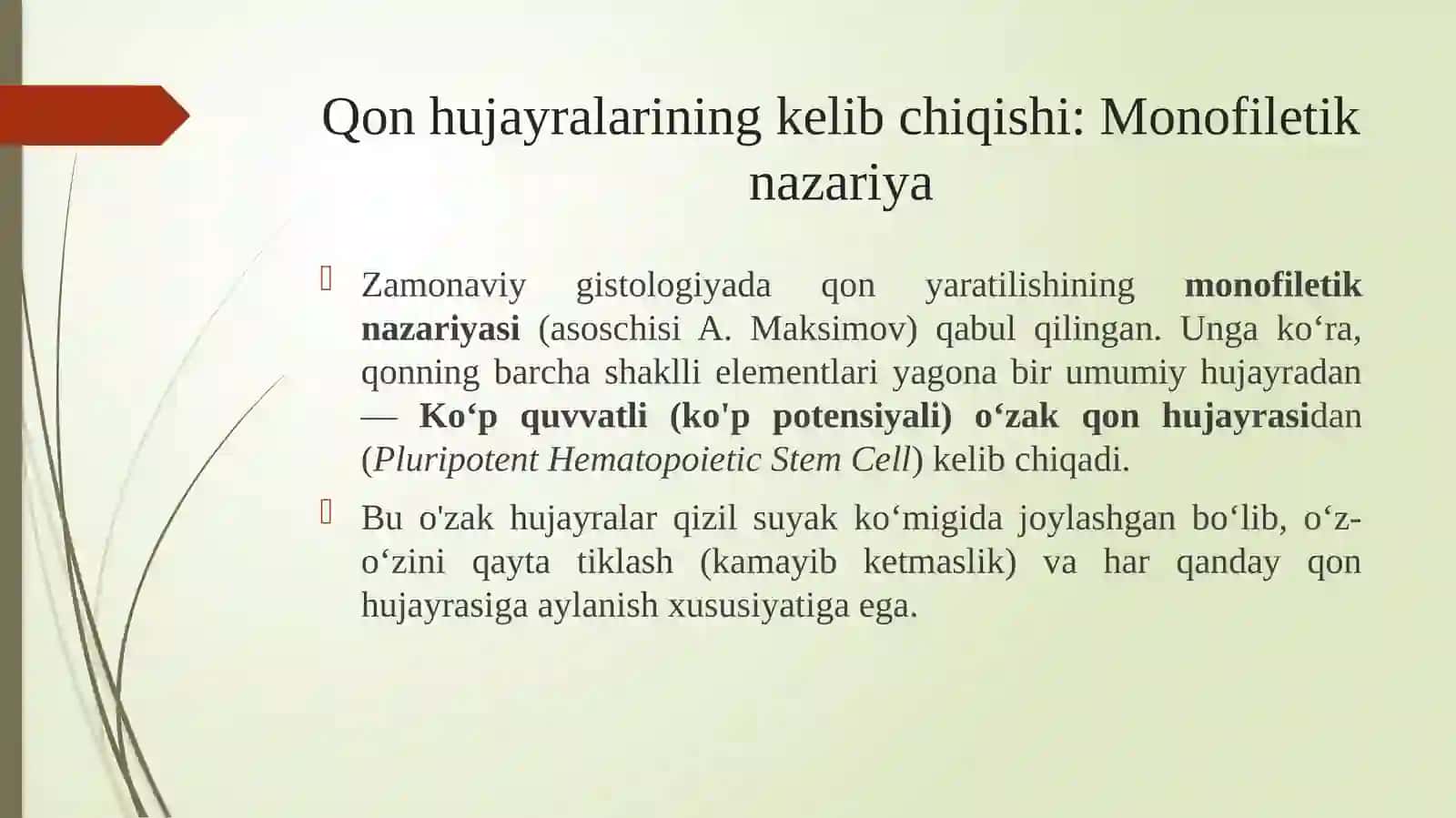 Gemotsitopoez va uning bosqichlari. 4