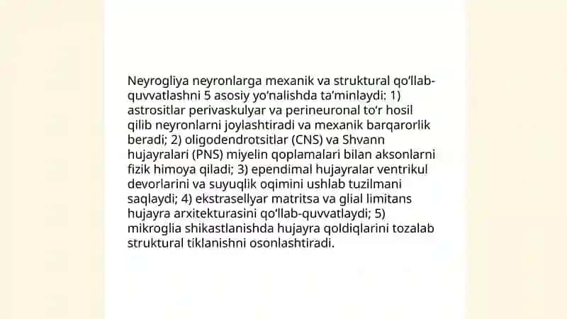 Neyrogliyaning nerv tizimidagi ahamiyati 4