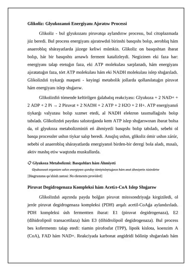 Glukoza metabolizmi: Basqıshları hám áhmiyeti 4