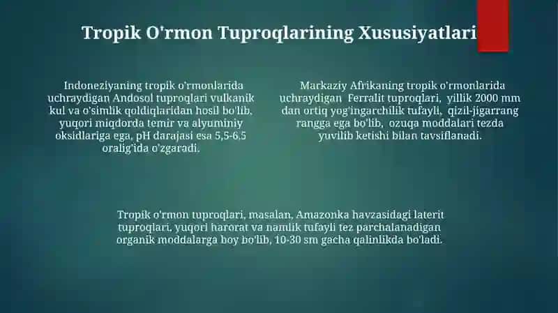 Savannalar va tropik oʻrmonlar tabiat zonasi tuproqlari 4