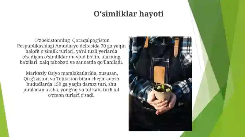 Oʻsimliklar va atrof-muhit 4