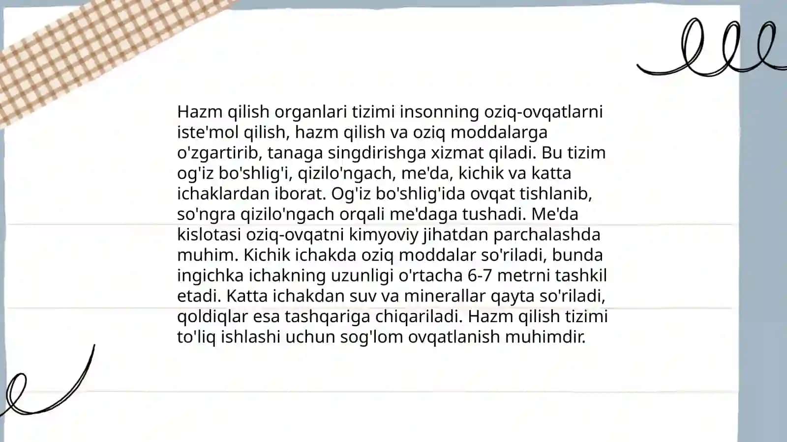 Hazm qilish tizimining anatomiyasi 4