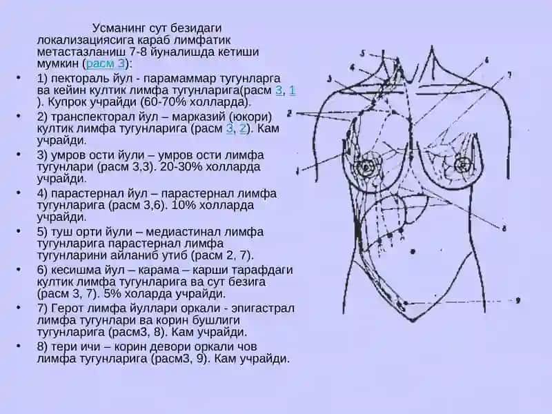 Сут бези саратони 4