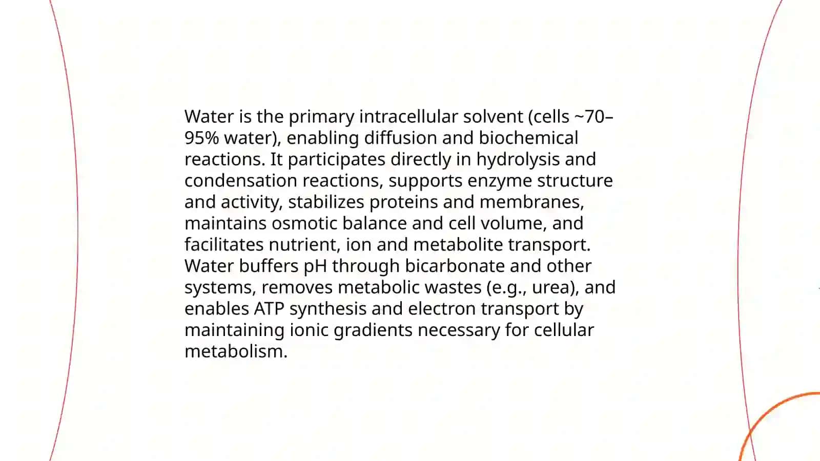 The importance of drinking water 4