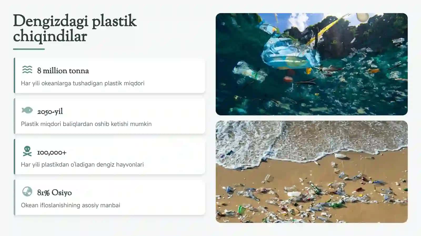 Plastik chiqindi muammosi 4