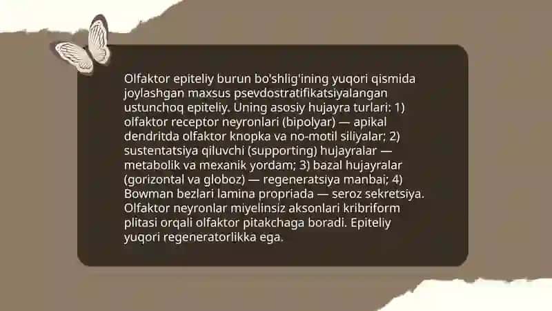 Nafas olish tizimi gistalogiyasi 4
