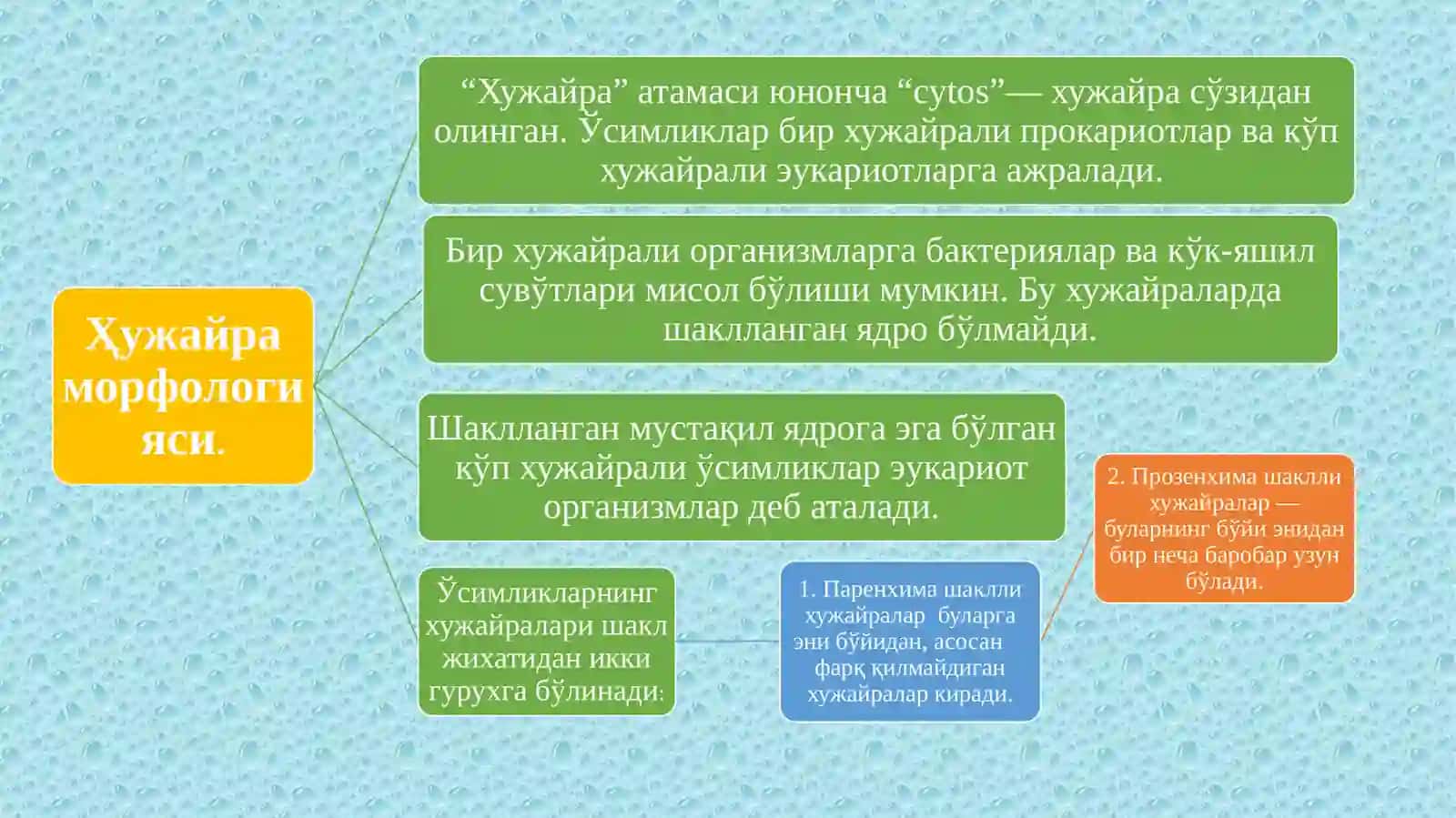 Хужайра назарияси 4
