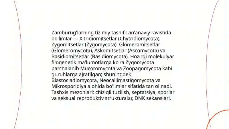 Zamburug'lar bo'limi 4