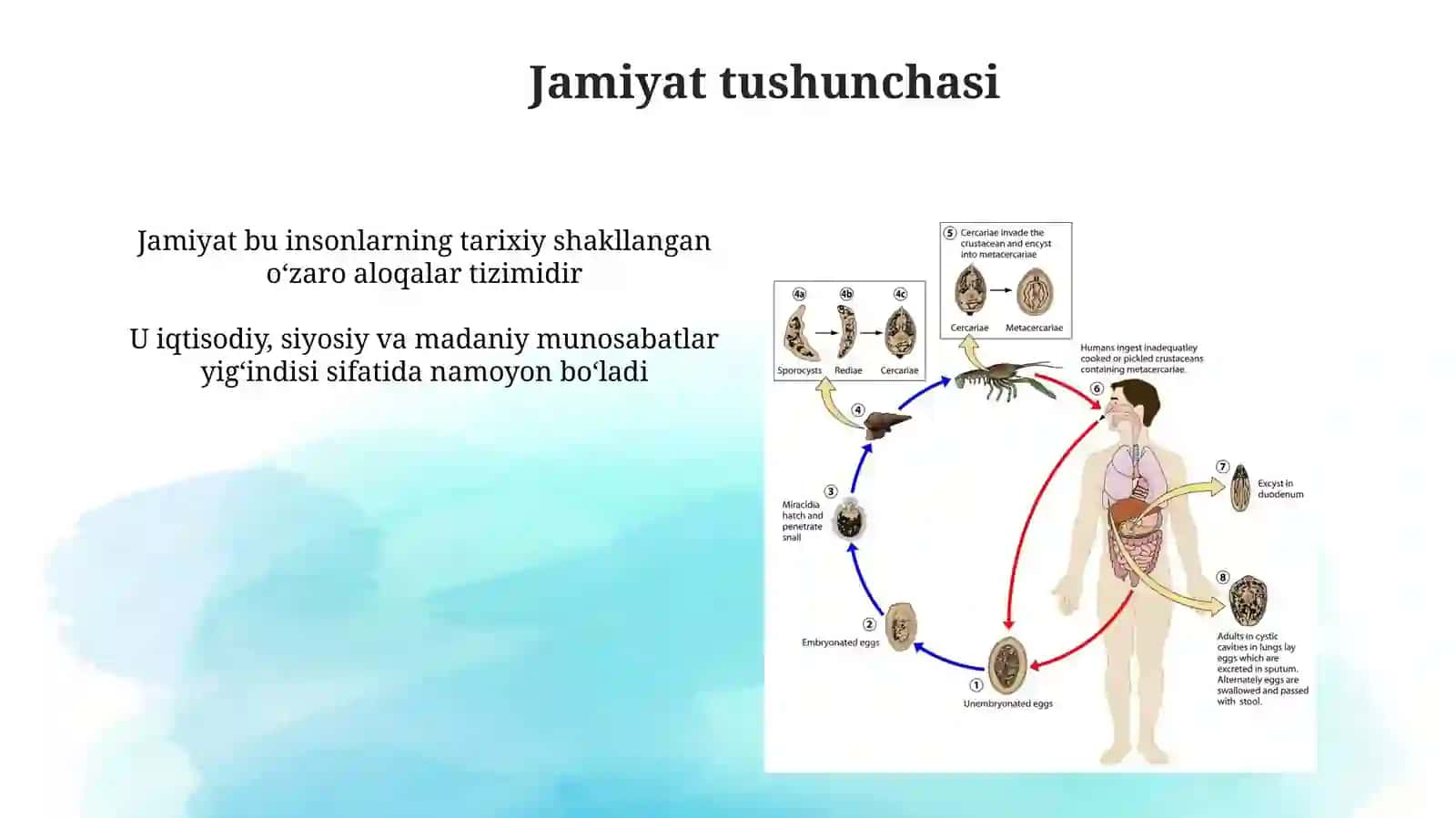 Jamiyatfalsafasi 4
