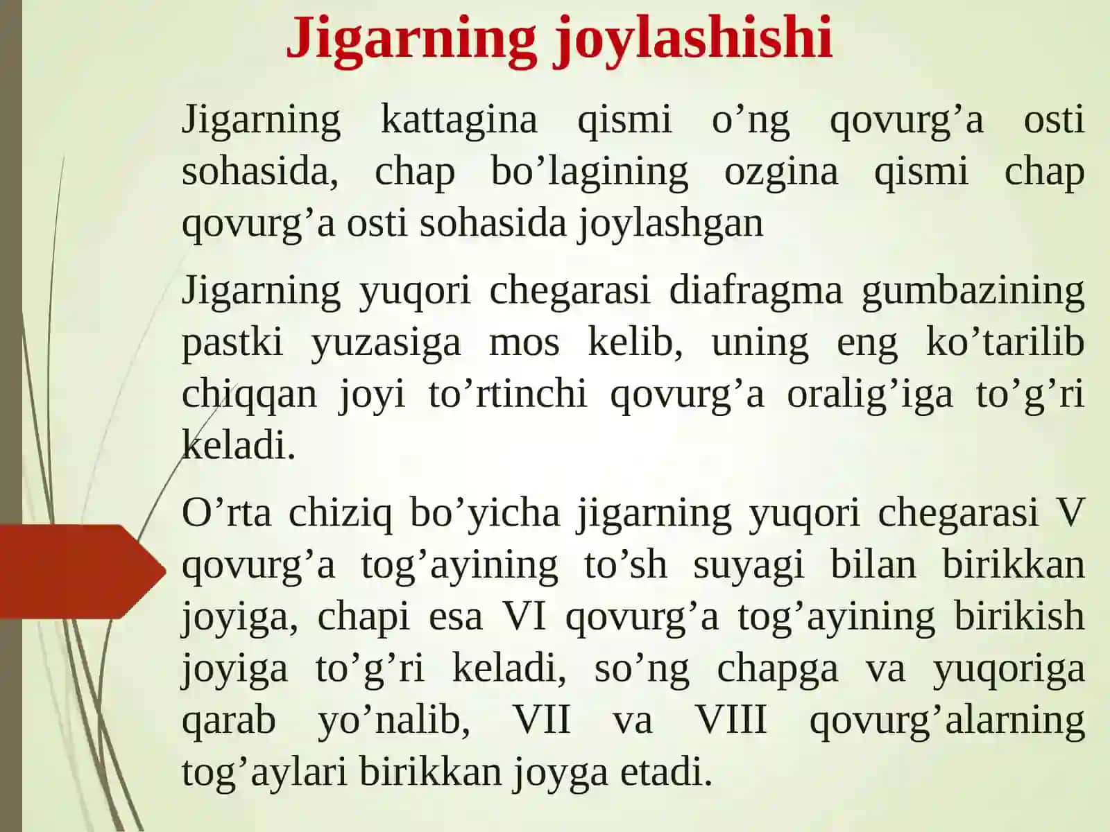 Jigar 4