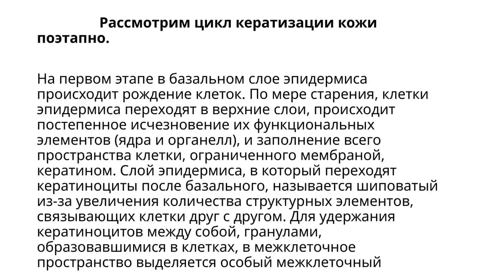 Современные представления о процессах кератинизации 4