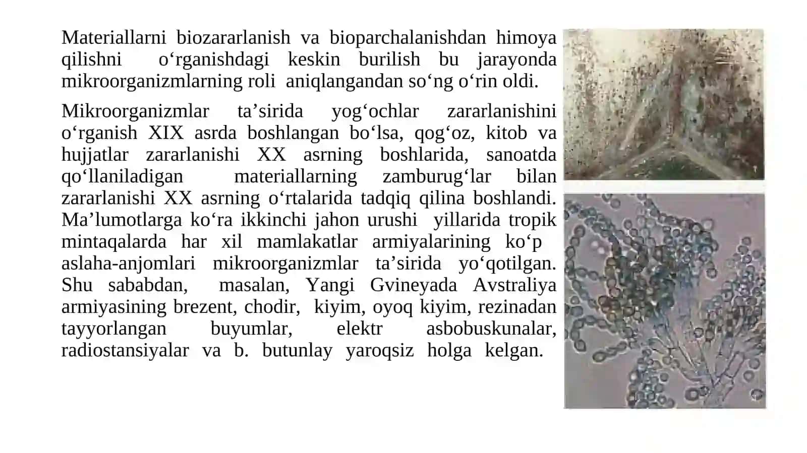 BAKTERIYALAR VA ZAMBURUG’LAR- BIOZARARLANISH MANBALARI 4