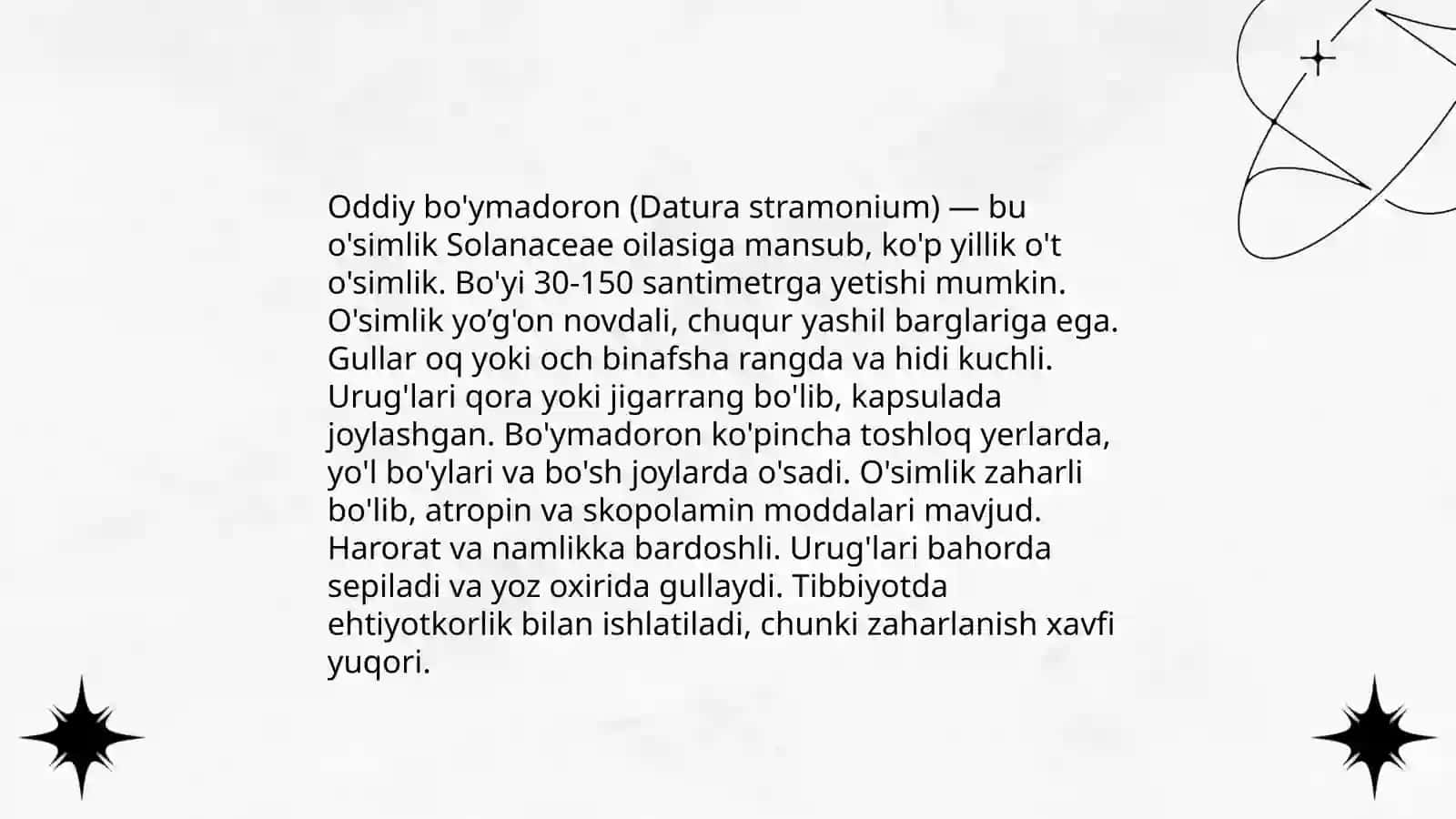 Oddiy bo'ymadoron, Achillea millennium 4