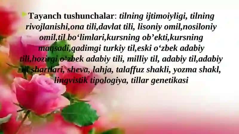 O‘zbek tili va adabiyoti 4