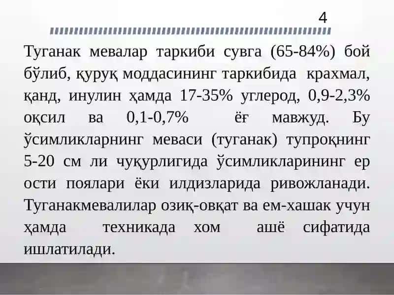 Тугунакмева ва картошка 4